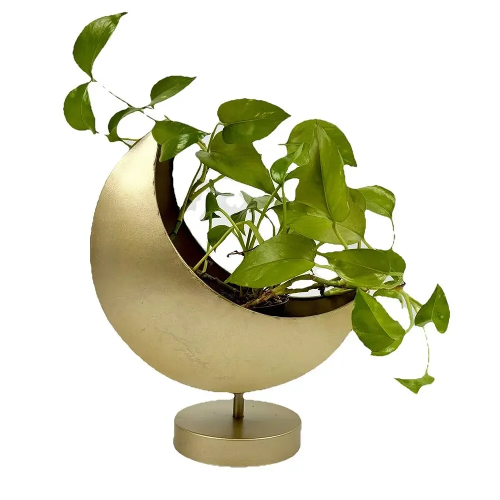 Gold Tone Crescent Moon Pedestal Planter Candle Holder Celestial Whimsigoth